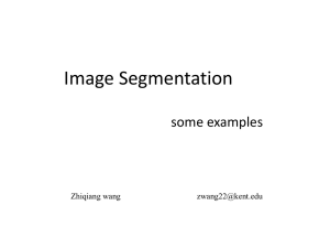 Some examples of Image Segmentation