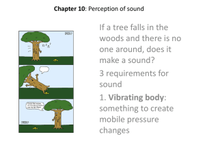 Chapter 10: Perception of sound