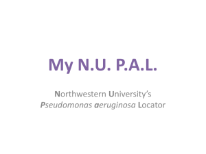 Northwestern Presentation
