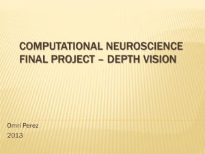 Computational Neuroscience Final Project * Depth Vision