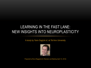 Learning In the fast lane: new insights into