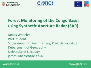 Forest Monitoring of the Congo Basin using Synthetic Aperture Radar