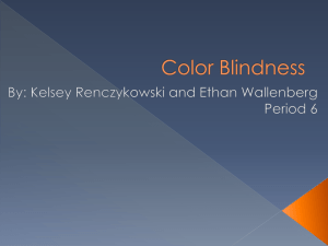 KelseyR, EthanW Color Blindness - OG