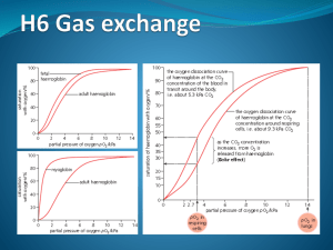 H 6 - Gas exchange - IBDPBiology-Dnl