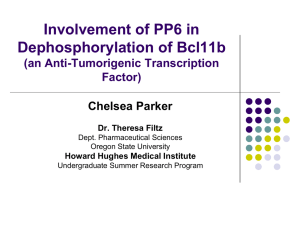 Bcl11b Transcription Factor Dephosphorylation by PP6 in