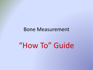Bone Detective. How to Measure?