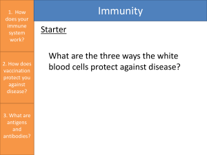 Immunity B1 1.9