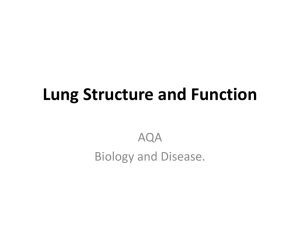 Lung Structure and Function