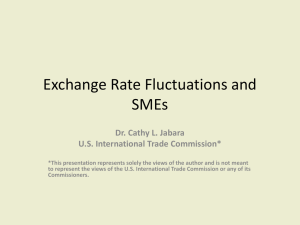 Exchange Rate Fluctuations and SMEs