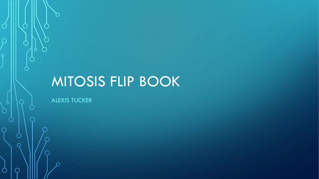 mitosis flip book telophase