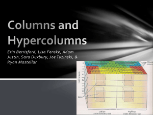 Columns and Hypercolumns