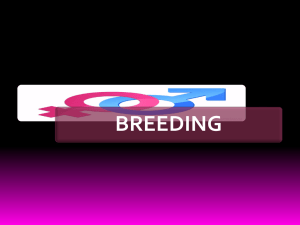 5-breeding