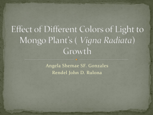 Effects of Different Colors of Light to Mongo`s Growth - ids