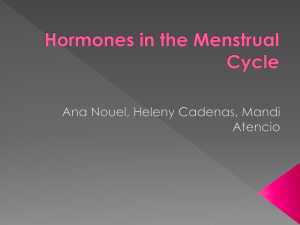 female hormone cycle