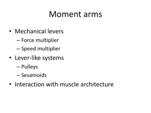 Moment arms