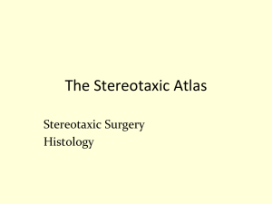The Stereotaxic Atlas