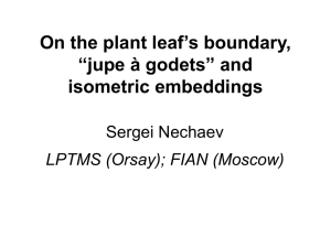 Plant leaves, jupes à godets, and conformal embeddings