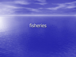fisheries - University of Puget Sound