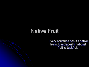 Native Fruit - Schools Online