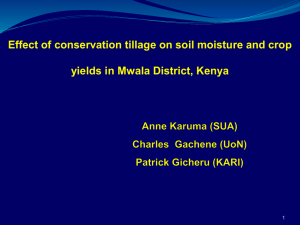 Effect of conservation tillage on soil moisture and crop yields in
