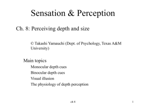 Ch 8 Perceiving depth and size