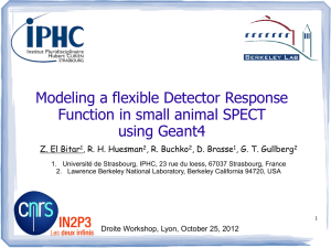 Modeling a flexible Detector Response Function in small animal