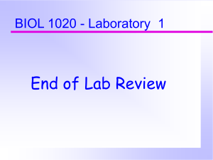 biol1020lab1review