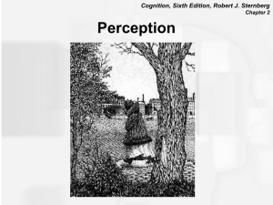 Chapter 4: Perception