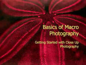 BasicsofMacroPhotography