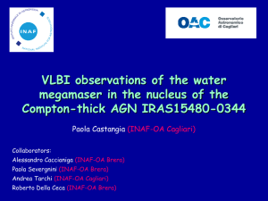 VLBI observations of the water megamaser in the nucleus of the