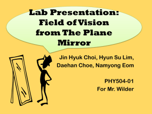 Field of Vision from The Plane Mirror