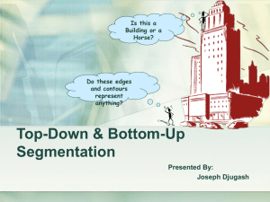 Top-Down and Bottom-Up Segmentation