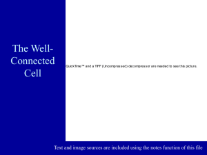 PowerPoint Presentation - Cell Architecture: The Well Connected Cell