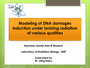 Modeling of DNA damages induction under ionizing radiation