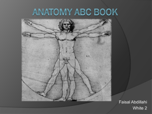 Faisal`s Anatomy ABC Book