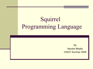 CS_537_Squirrel_Programming