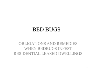 Obligations and Remedies When Bed Bugs Infest Residential