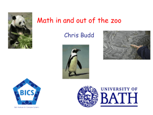 Math in and out of the zoo
