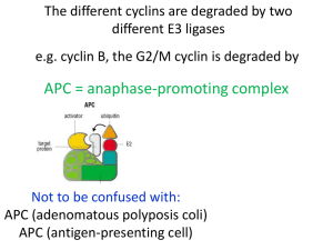 Cell Cycle III
