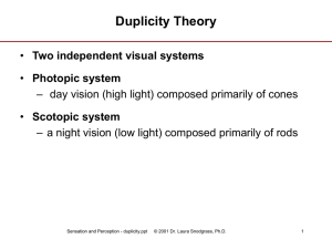 Duplicity Theory