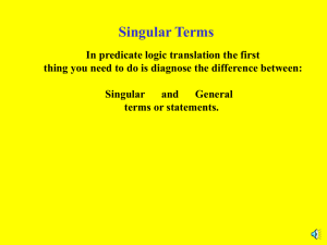 Singular Terms