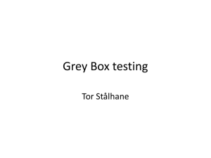 Grey Box testing