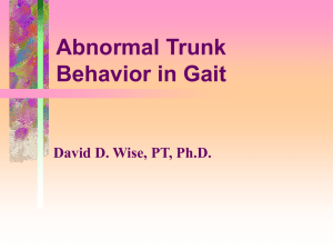 Normal Trunk Behavior in Gait