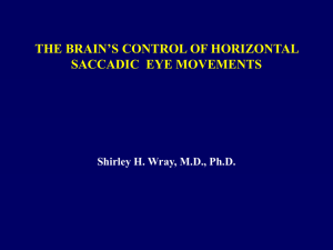 Brain Control of Horizontal Saccadic Eye Movements