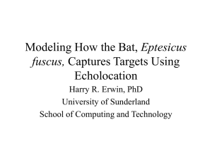 The Bat Lecture - Fas-web Home - Bad Request