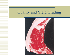 Quality and Yield Grading