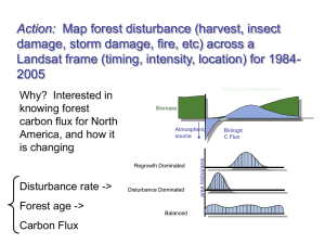 Mapping Forest Disturbance.