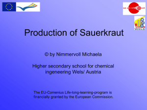 Production of Sauerkraut