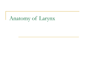 Larynx_Anatomy of Larynx