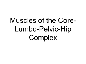 Muscles of the Core
